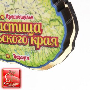 1013 Магнит с минералами "Частица Кольского края", 10,5*7,5*2,5 см