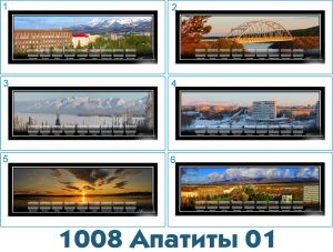 1008 Коллекция минералов панорамная, магнит 9*25 см