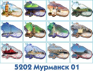5202 Магнит плоский фигурный 8*5,5 см